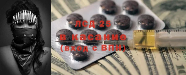прущие грибы Абинск