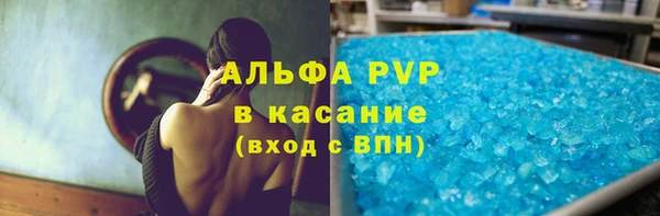 прущие грибы Абинск