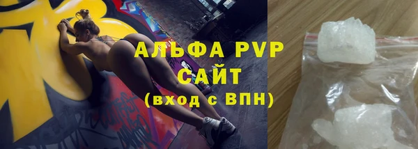 прущие грибы Абинск