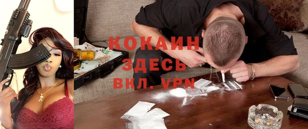 прущие грибы Абинск