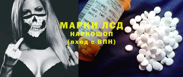 прущие грибы Абинск
