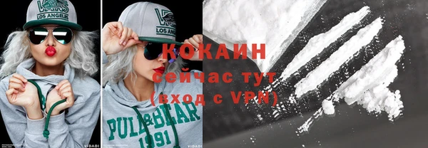 прущие грибы Абинск